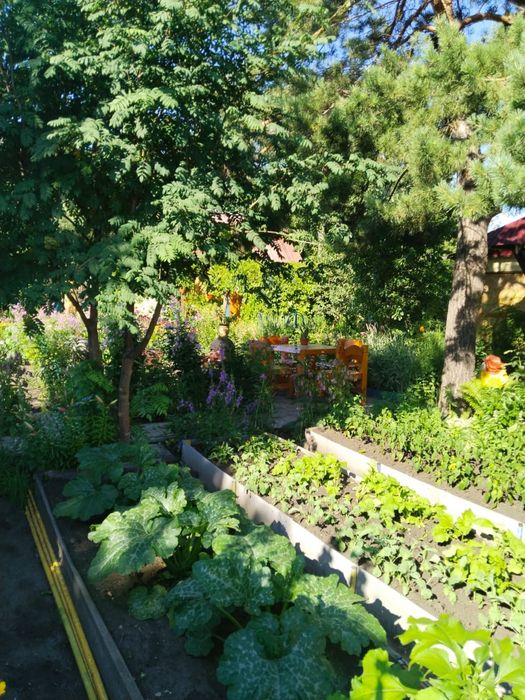 Продам дачу общесво»Эврика»