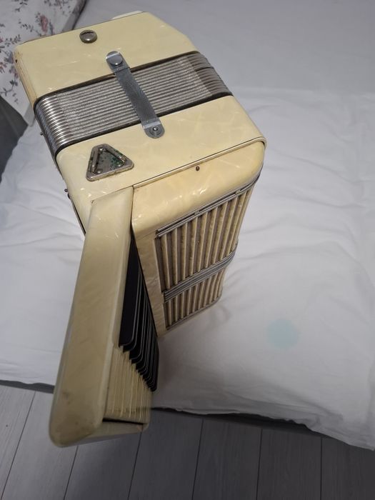 Vind acordeon profesional studiu