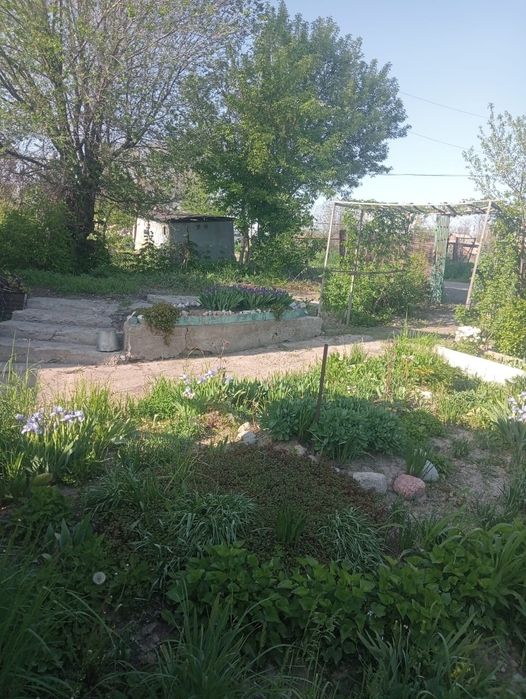 Продам 2 дома селекция