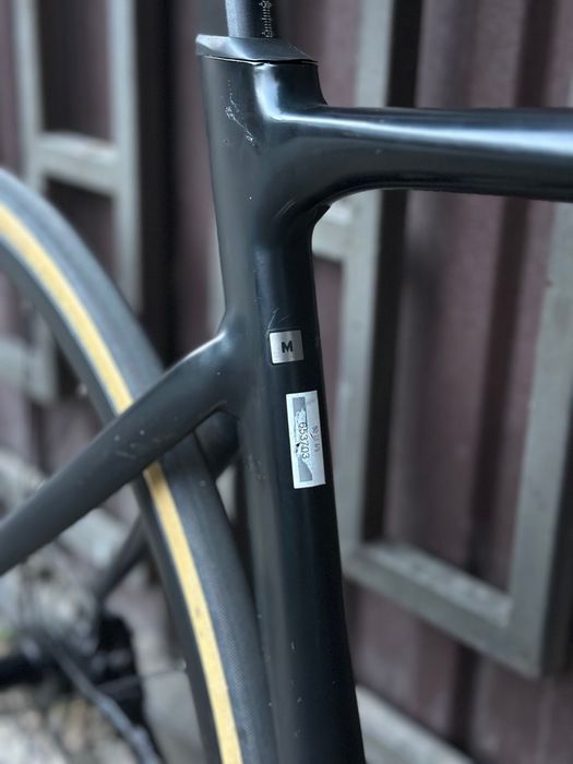 Giant PCR LTD 2 2025
