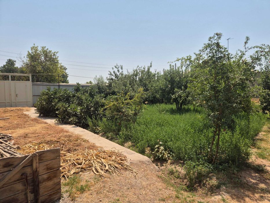 15 сотих ер (7.5 сотих парник) сотилади. Денов Хазарбоғ