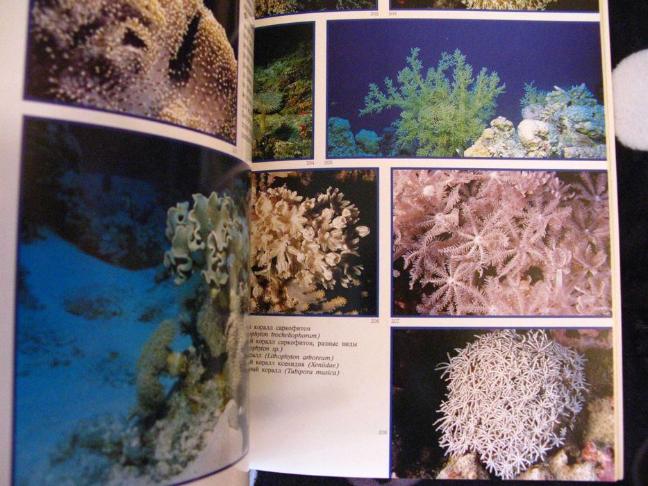 Иллюстрированные книги / альбомы