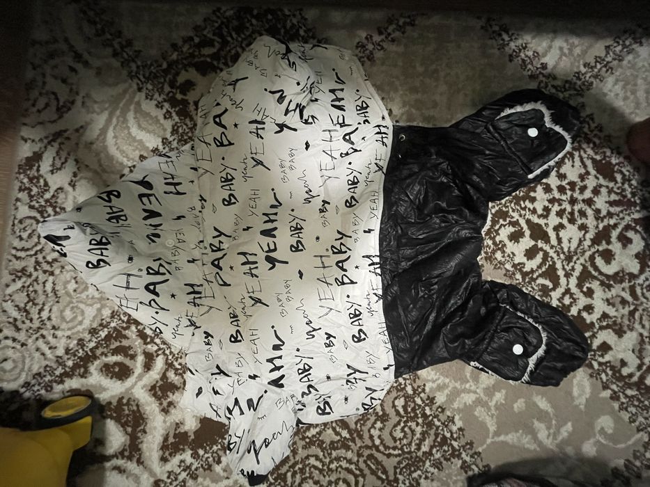 Одежда для собаки мопс