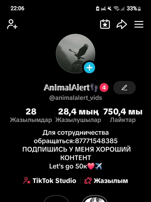 Продам аккаунт тикток (без накруток)