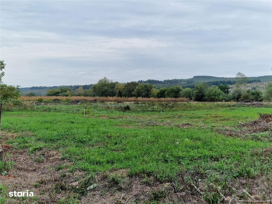 RECO teren intravilan Ineu