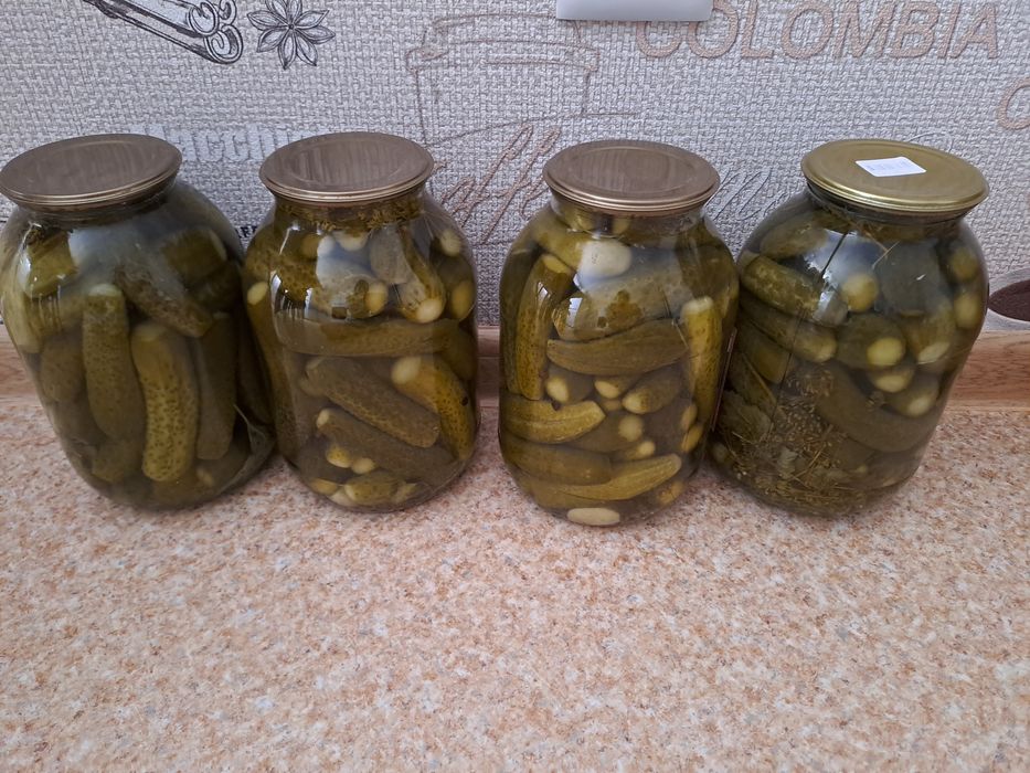 Огурцы солёные 2025