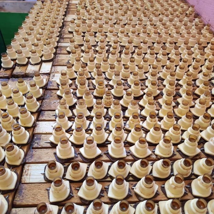 Mătci / Regine / Albine Carnica F1