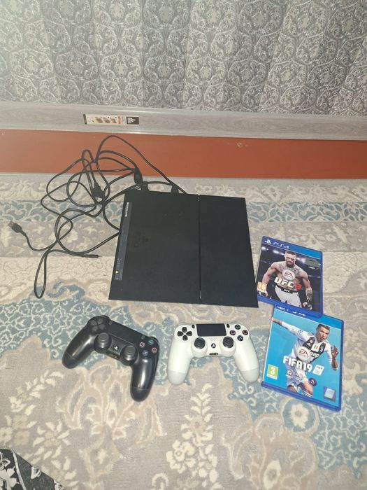 P.S плестейшин 4