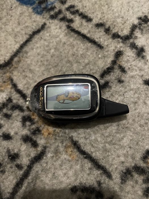 Mejikar 101 pult peyjir Yangi