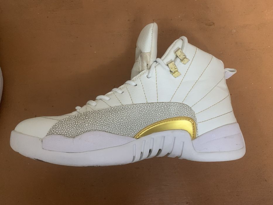 Nike Jordan 12 retro Evo