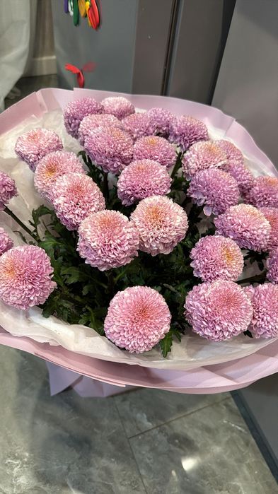 Цветы момото свежие