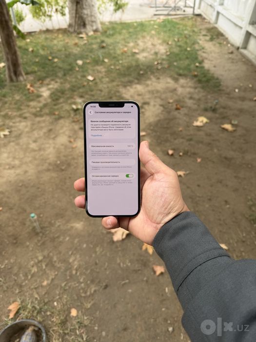 iphone 12 pro max gold