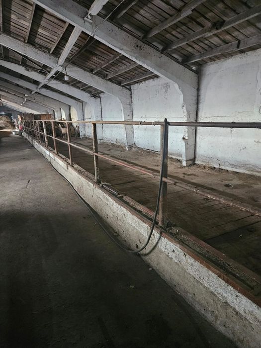 Продам животноводческую базу