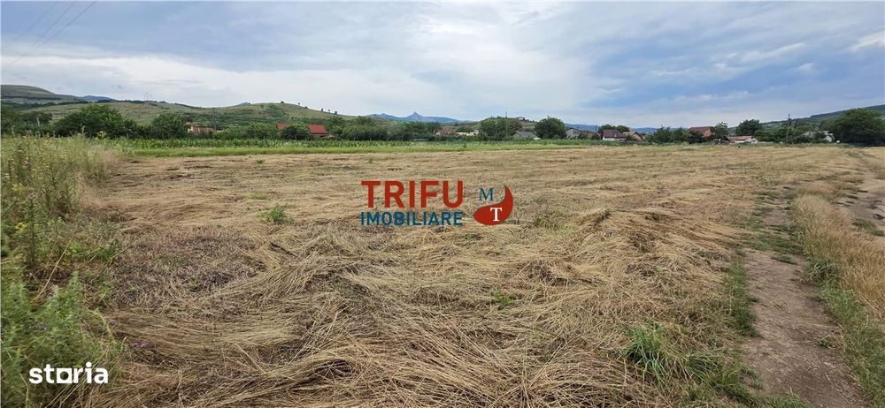 Teren de vanzare in Sard cu suprafata de 1374 mp