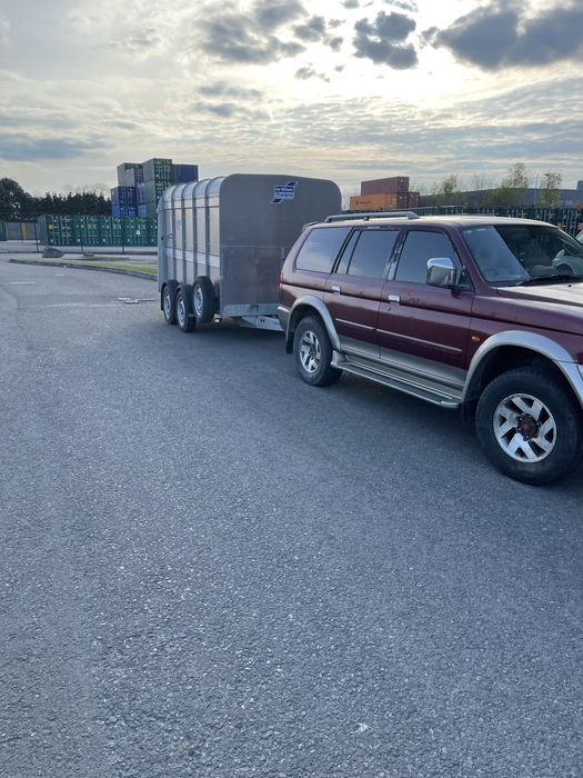 Transport animale vii autorizat Romania