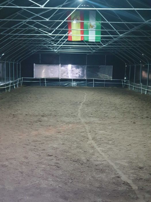 Pensiune pentru cai/ cazare cai