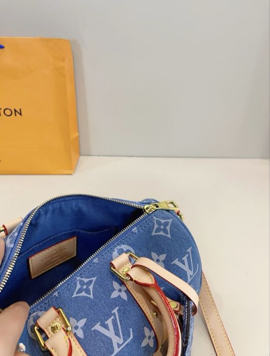 Luis Vuitton mini bag