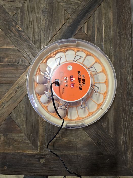 Инкубатор за 30 яйца с автоматичен контрол на температурата, дисплей з