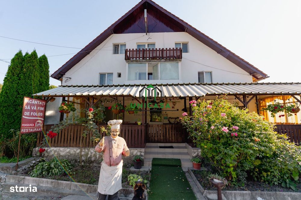 Pensiunea Evrica - Costesti - Horezu - Valcea