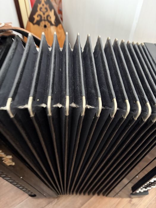 Баян /Горошка/Готововыборный