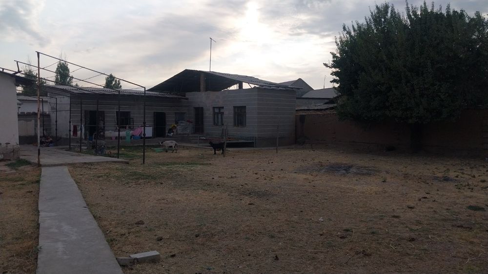 10000 дан сотиши ер нархида