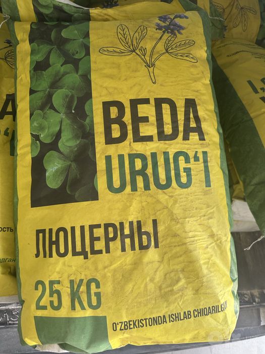 Beda urugi люцерны
