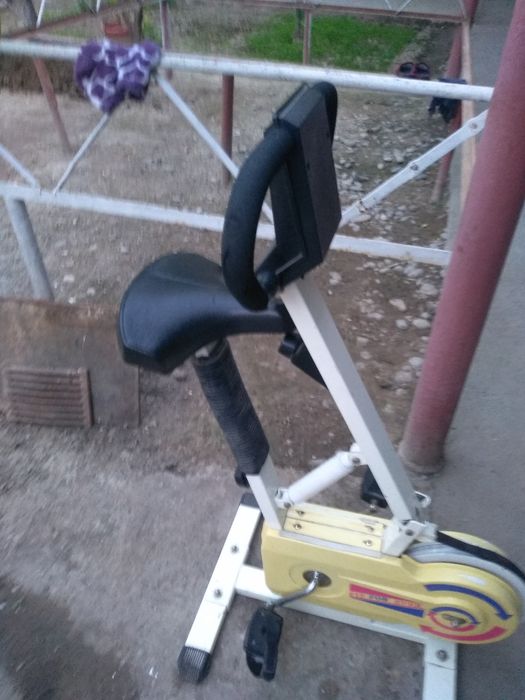 Prodayu damashi trenejior.