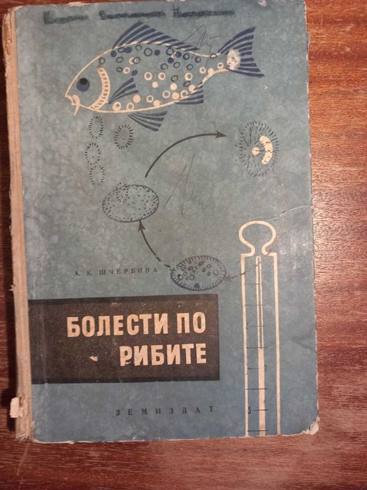 Болести по рибите