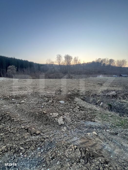Viitor teren intravilan, parcele cu utilitati, Drumul Tarpiului