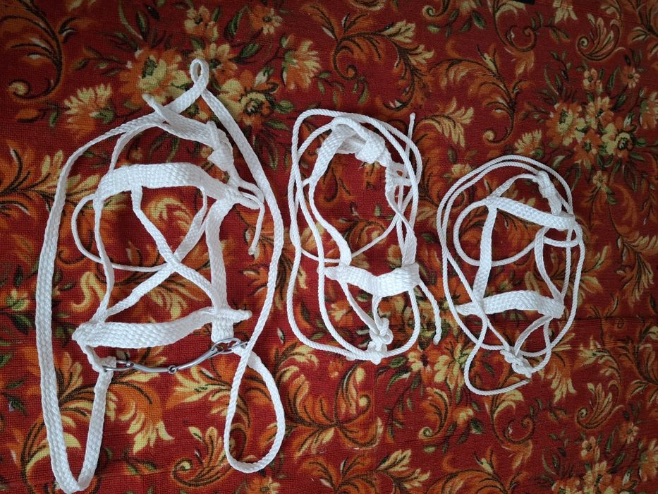 Продам недоуздок для жеребенке