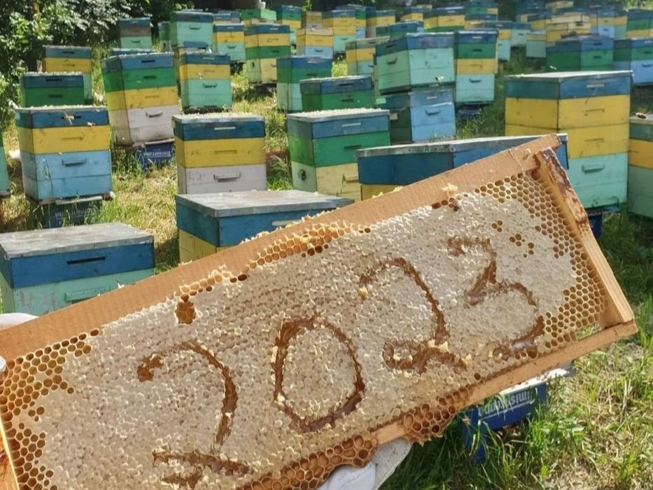 Crema de brusture fără chimicale sau adaosuri