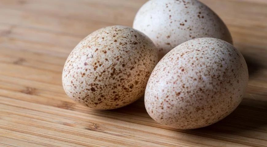 Продам яйцо индоутки на инкубацию