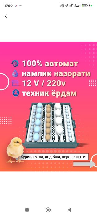 128 talik inkubator sotiladi polni avtamat 220v 12v ishlaydi