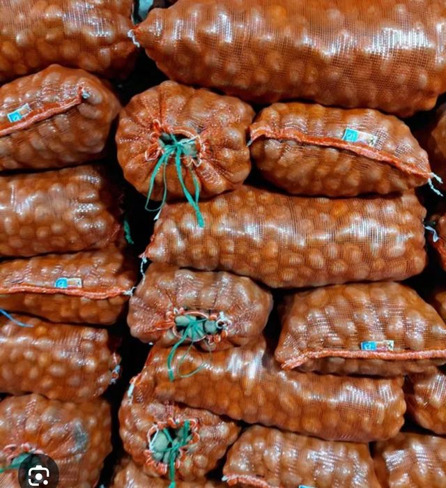 Картофель опт 80 ТГ скороспелый Коломбо