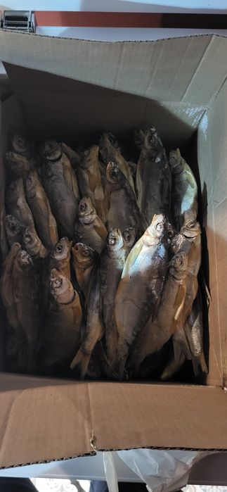 Рыбец рыба май балык