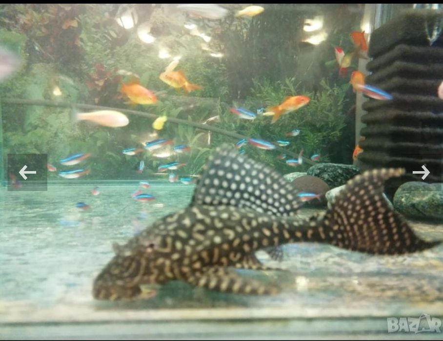Продавам нови аквариуми и асесоари