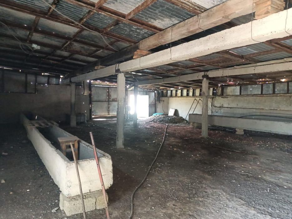 Продам КХ от города 80 км езды. Есть торг