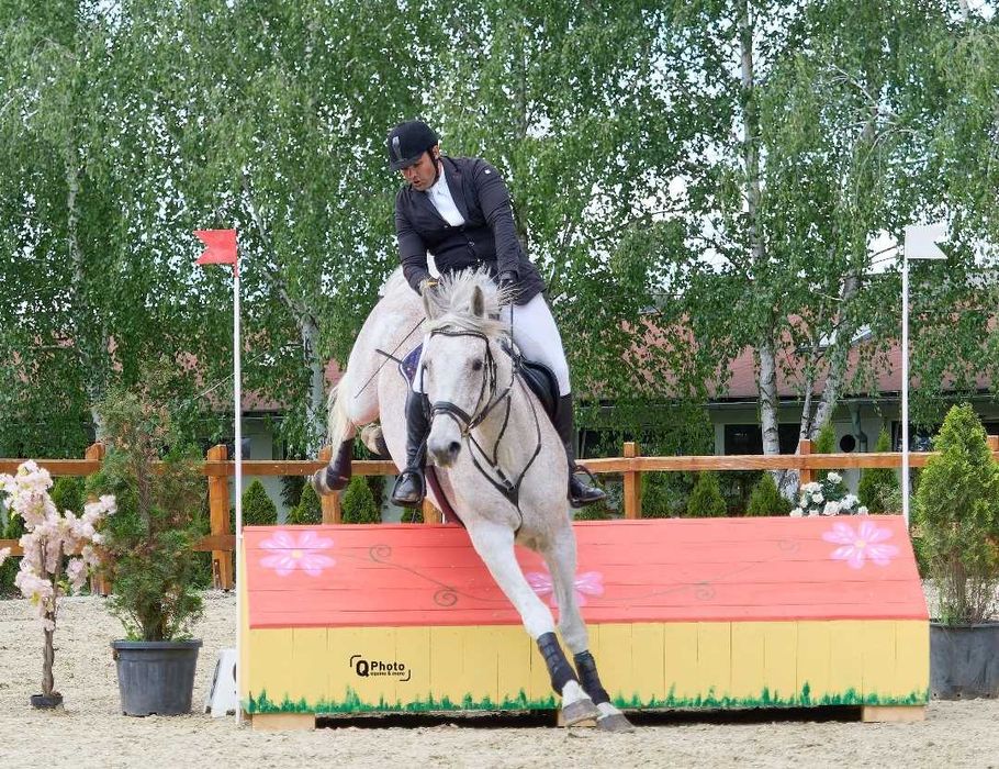 Cal de proba completă, de vanzare