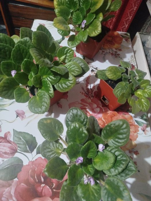Продам стеклянный столик