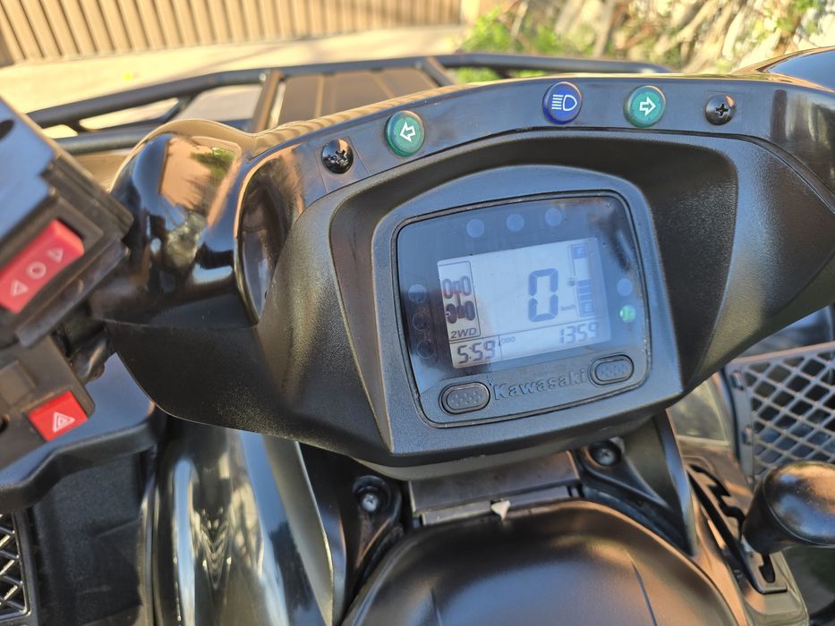 Kawasaki Brute Force