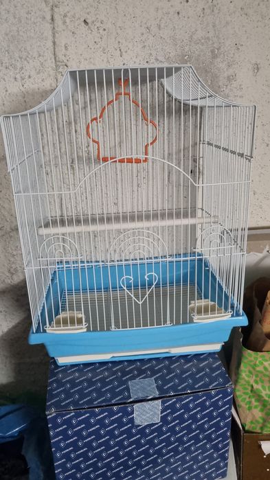 De vanzarei peruși,ninfe,agapornisi,