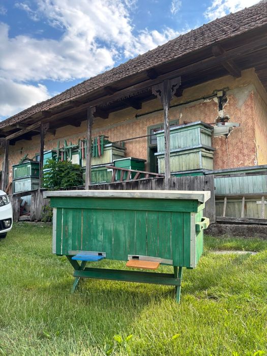 Vand lăzi albine