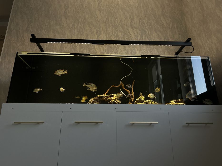 Аквариум 500л сатылады