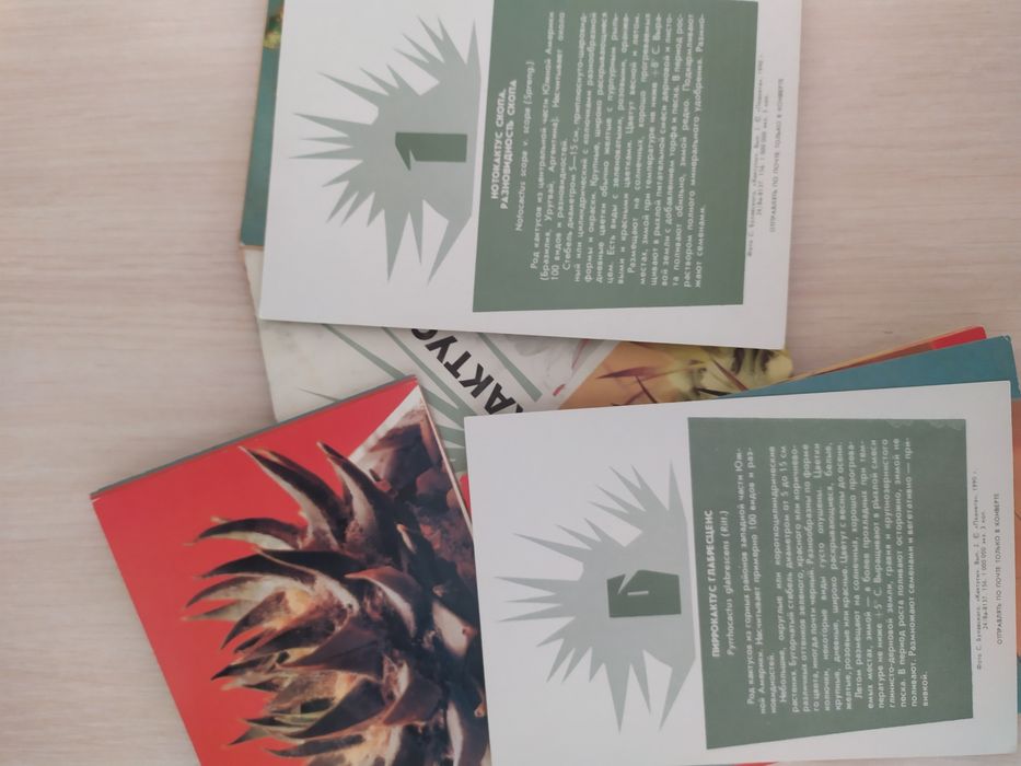 Набор открыток "Кактусы"