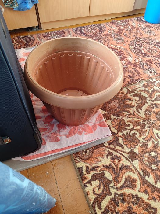 Продам босоножки белые