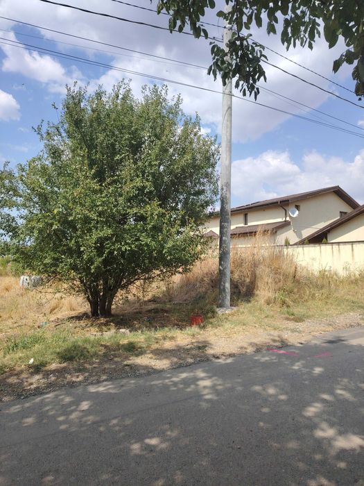 vanzare teren branesti