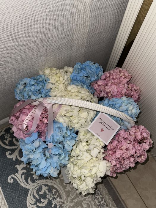 Гартензия 10 шт шымкент