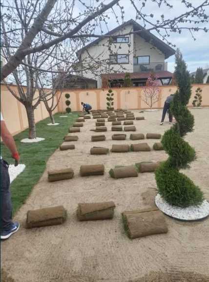 Amenajări Curți cu Gazon Rulou – Livrare Rapidă și Montaj