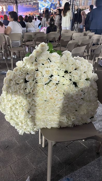 251 штук белых роз