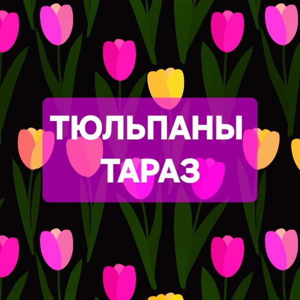 Голландские тюльпаны оптом